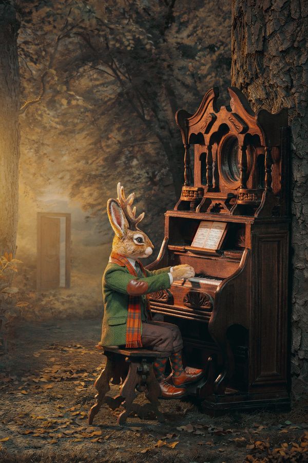Jackalope’s Junction